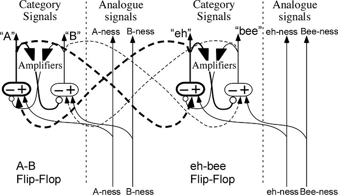 flip-flops_labelling.jpg