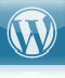 WordPress icon